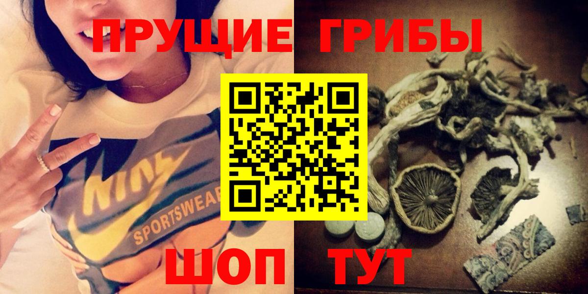 Псилоцибиновые грибы GOLDEN TEACHER Михайловка